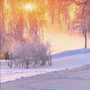 Meet your Posher, Mya